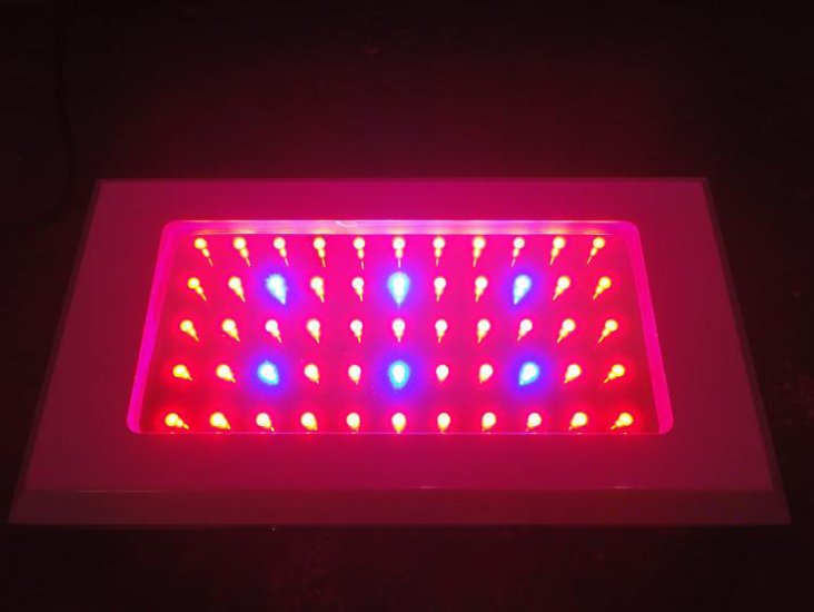 2011 Hot Sell 120w Grow Led Light(55x2W) - Click Image to Close