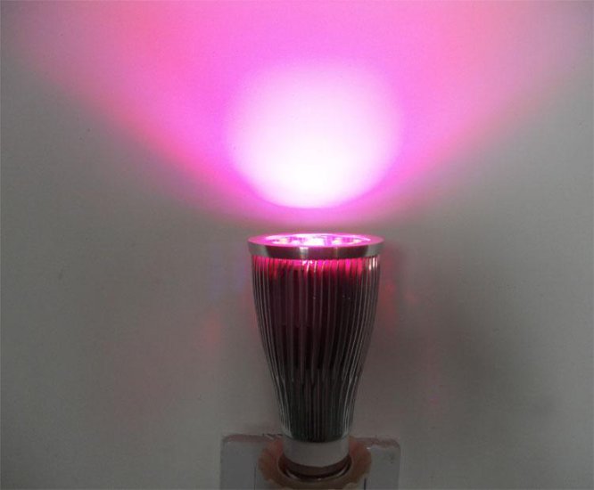 12W Red and Blue LED Grow Light - Click Image to Close