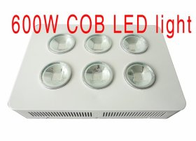 600W Integrated COB LED Grow Light 6X100W