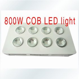 800W Integrated COB LED Grow Light 8X100W