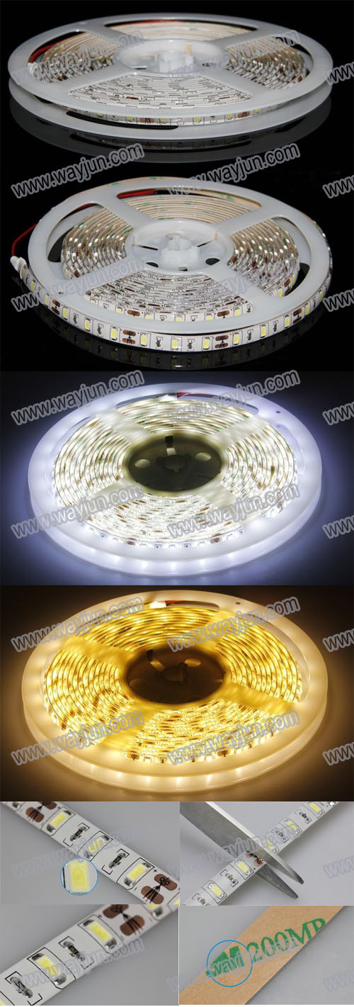 5630 SMD led flexible light strip waterproof,5m,300 led