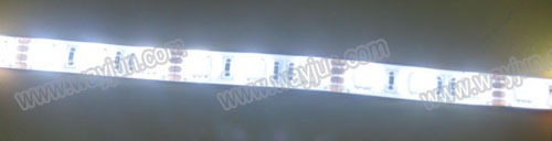 White 5050 SMD led flexible light strip