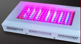 200W LED Grow Light