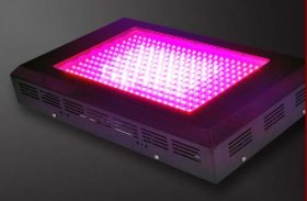 600W LED Grow Light 300x2w