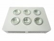 New COB LED plant grow light 300W lamp 6X50W integrated plant