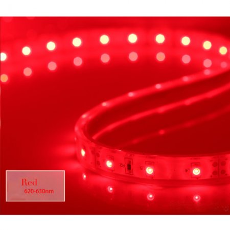 5050 SMD led flexible light strip,non-waterproof,5m,300 leds