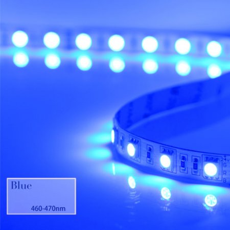 24V High power 5050 SMD LED strip light 5m, 300 leds