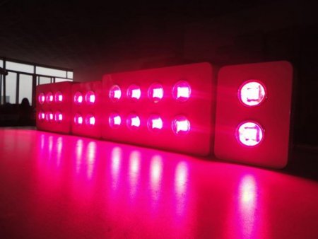 200W Integrated chip COB LED Grow Light 2X100W