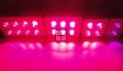 200W Integrated chip COB LED Grow Light 2X100W