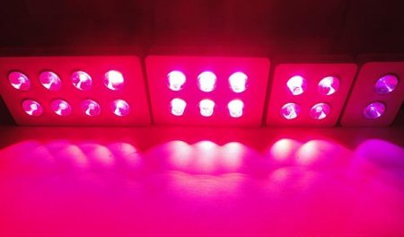 200W Integrated chip COB LED Grow Light 2X100W