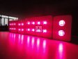 200W Integrated chip COB LED Grow Light 2X100W