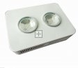 200W Integrated chip COB LED Grow Light 2X100W