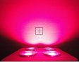 400W Integrated COB LED Grow Light 4X100W