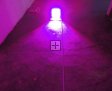 400W Integrated COB LED Grow Light 4X100W