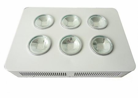 600W Integrated COB LED Grow Light 6X100W