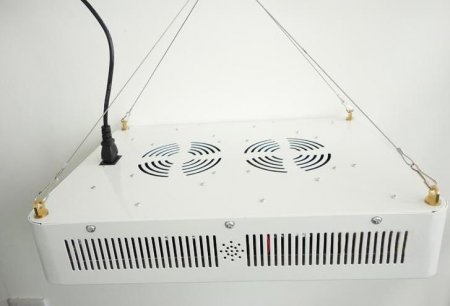 600W Integrated COB LED Grow Light 6X100W