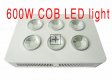 600W Integrated COB LED Grow Light 6X100W