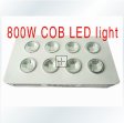 800W Integrated COB LED Grow Light 8X100W