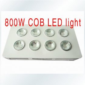 800W Integrated COB LED Grow Light 8X100W