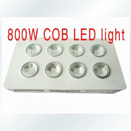 800W Integrated COB LED Grow Light 8X100W