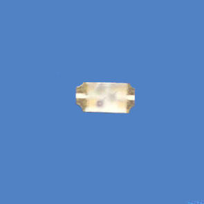 3216 Double Color / RGB Full Color SMD LED