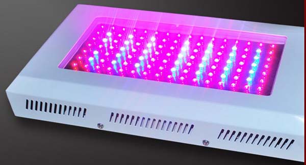 200W LED Grow Light