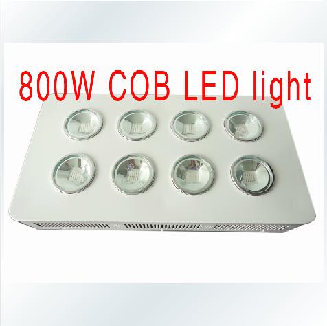 800W Integrated COB LED Grow Light 8X100W
